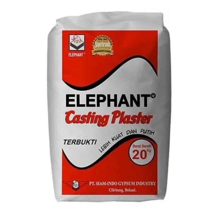 casting elephant foto